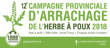 Campagne d'arrachage de l'herbe à poux 2018